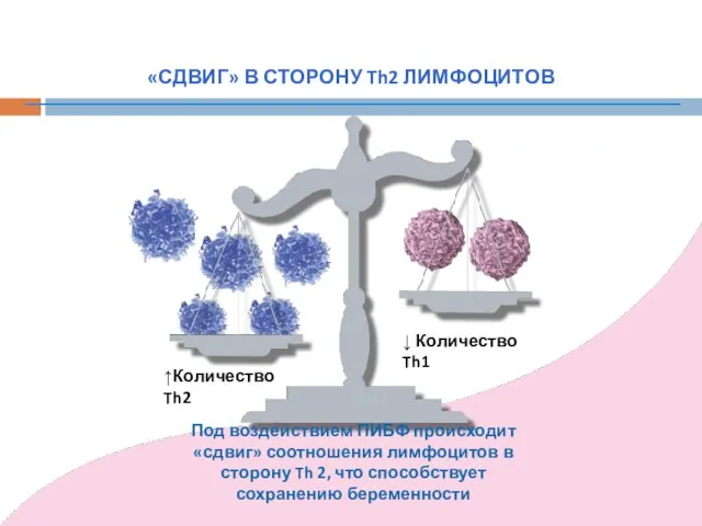 Под воздействием ПИБФ происходит «сдвиг» соотношения лимфоцитов в сторону Th 2,
