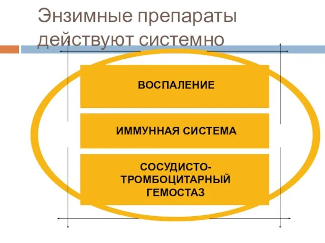 Энзимные препараты действуют системно