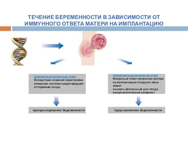 ТЕЧЕНИЕ БЕРЕМЕННОСТИ В ЗАВИСИМОСТИ ОТ ИММУННОГО ОТВЕТА МАТЕРИ НА ИМПЛАНТАЦИЮ Адекватный