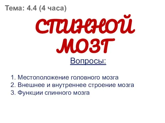 СПИННОЙ МОЗГ Тема: 4.4 (4 часа) Вопросы: 1. Местоположение головного мозга