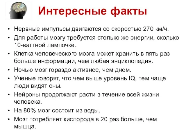 Нервные импульсы двигаются со скоростью 270 км/ч. Для работы мозгу требуется