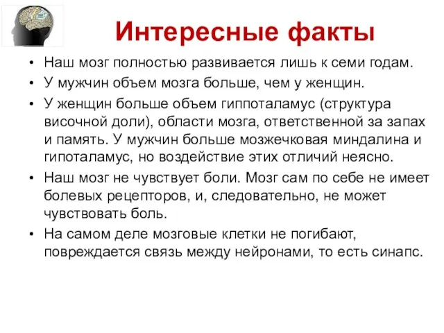 Наш мозг полностью развивается лишь к семи годам. У мужчин объем