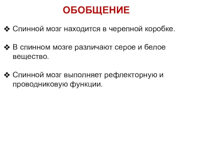 ОБОБЩЕНИЕ Спинной мозг находится в черепной коробке. В спинном мозге различают