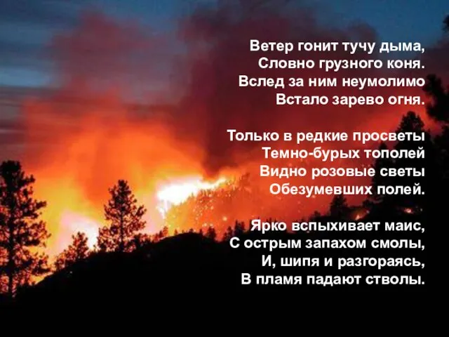 Ветер гонит тучу дыма, Словно грузного коня. Вслед за ним неумолимо