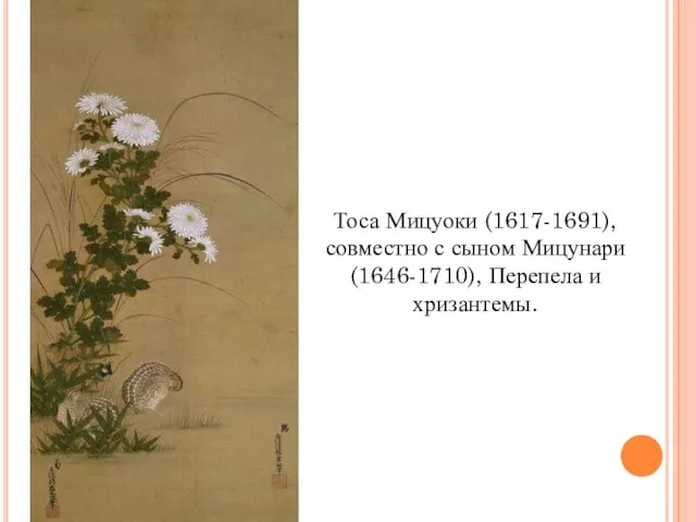 Тоса Мицуоки (1617-1691), совместно с сыном Мицунари (1646-1710), Перепела и хризантемы.