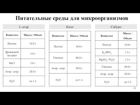 Питательные среды для микроорганизмов 11 L-агар Кинг Сабуро