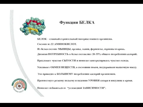 Функции БЕЛКА БЕЛОК – главный строительный материал нашего организма. Состоит из