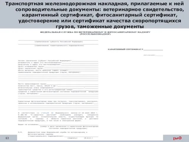 Транспортная железнодорожная накладная, прилагаемые к ней сопроводительные документы: ветеринарное свидетельство, карантинный