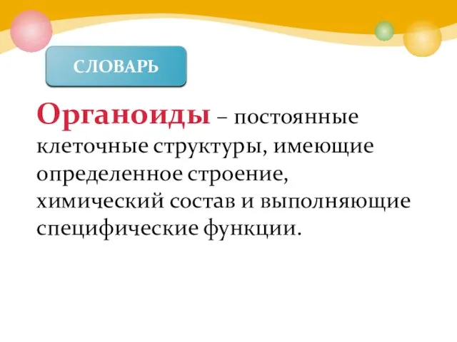 Органоиды – постоянные клеточные структуры, имеющие определенное строение, химический состав и выполняющие специфические функции. СЛОВАРЬ