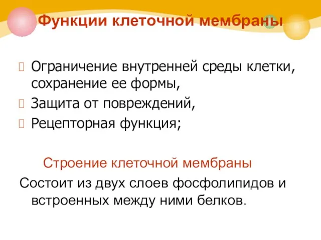 Функции клеточной мембраны Ограничение внутренней среды клетки, сохранение ее формы, Защита