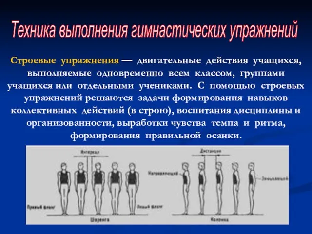 Техника выполнения гимнастических упражнений Строевые упражнения — двигательные действия учащихся, выполняемые