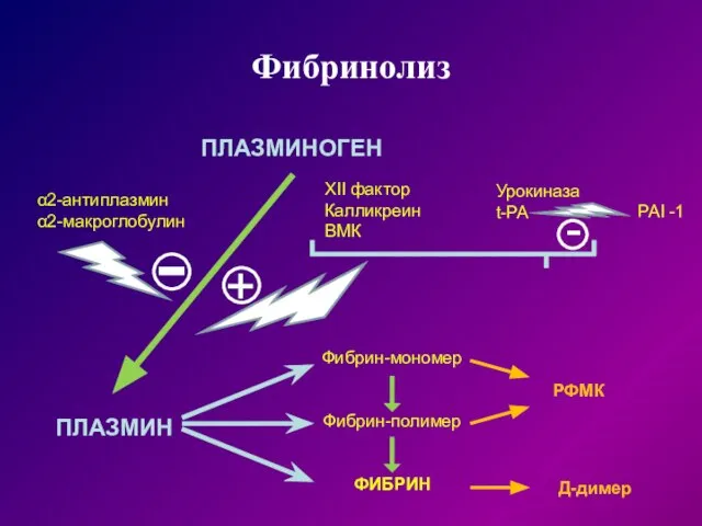 Фибринолиз Фибрин-мономер Фибрин-полимер ФИБРИН РФМК Д-димер ПЛАЗМИН ПЛАЗМИНОГЕН α2-антиплазмин α2-макроглобулин -