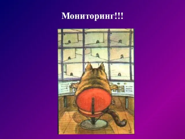 Мониторинг!!!