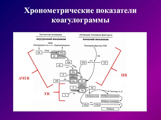 Хронометрические показатели коагулограммы АЧТВ ПВ ТВ