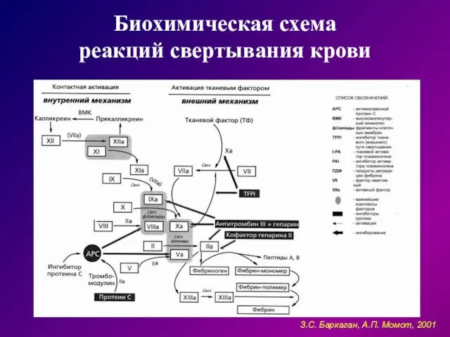 Биохимическая схема реакций свертывания крови З.С. Баркаган, А.П. Момот, 2001