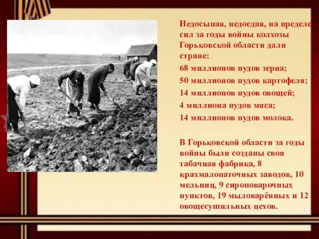 Недосыпая, недоедая, на пределе сил за годы войны колхозы Горьковской области
