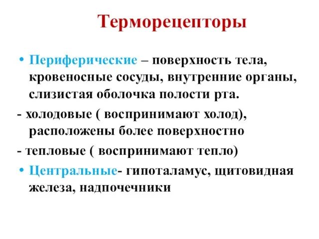 Терморецепторы Периферические – поверхность тела, кровеносные сосуды, внутренние органы, слизистая оболочка