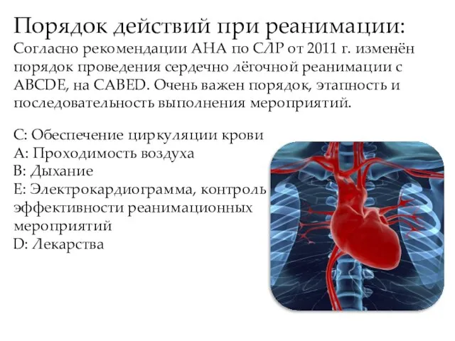 Порядок действий при реанимации: Согласно рекомендации АНА по СЛР от 2011