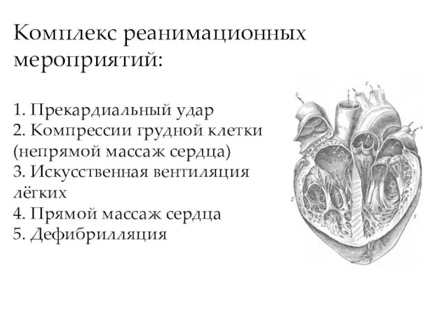 Комплекс реанимационных мероприятий: 1. Прекардиальный удар 2. Компрессии грудной клетки (непрямой