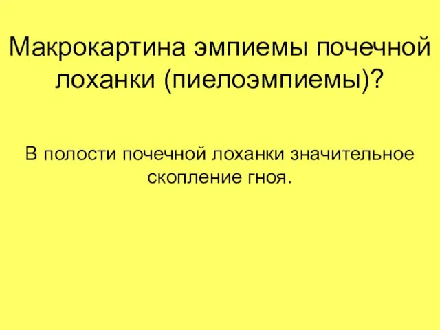 Макрокартина эмпиемы почечной лоханки (пиелоэмпиемы)? В полости почечной лоханки значительное скопление гноя.