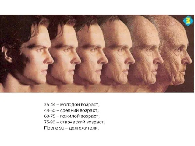 25-44 – молодой возраст; 44-60 – средний возраст; 60-75 – пожилой