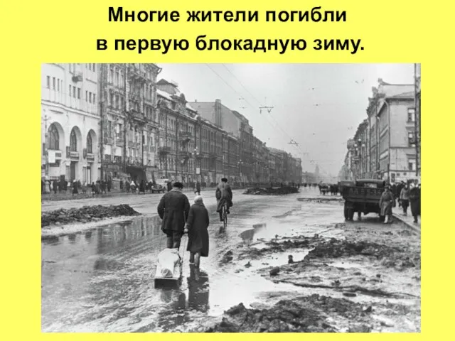 Многие жители погибли в первую блокадную зиму.