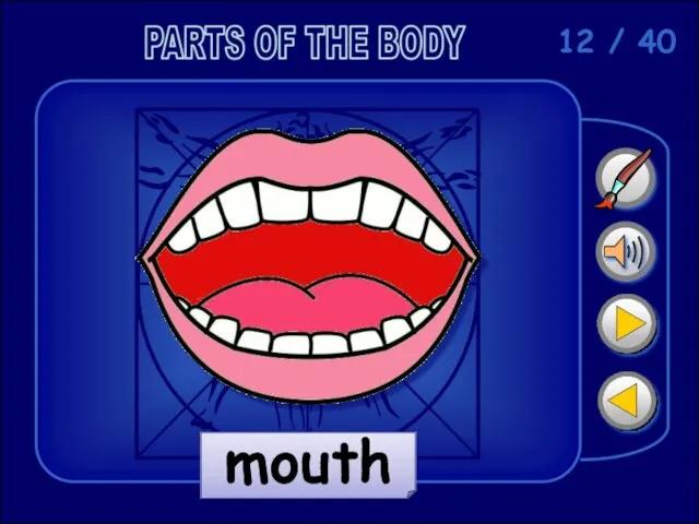 12 / 40 mouth