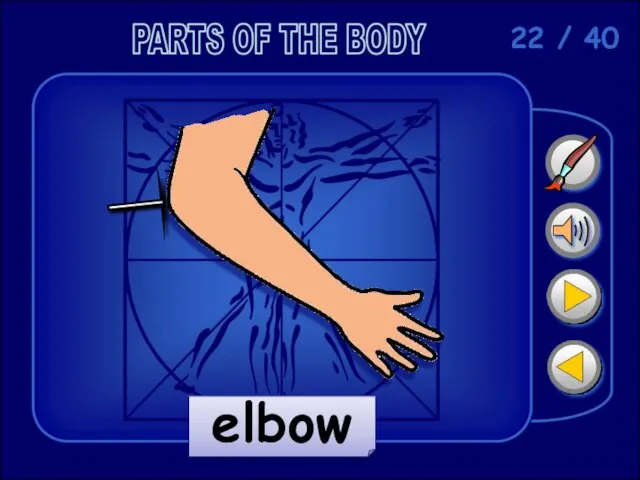 22 / 40 elbow