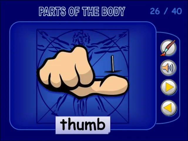 26 / 40 thumb