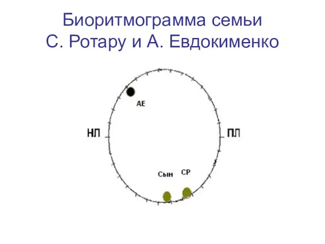 Биоритмограмма семьи С. Ротару и А. Евдокименко