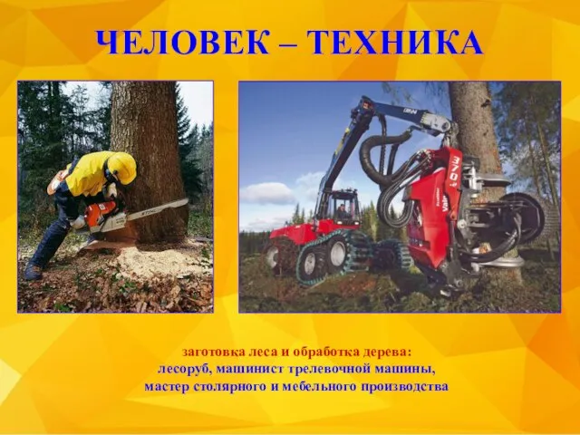 ЧЕЛОВЕК – ТЕХНИКА заготовка леса и обработка дерева: лесоруб, машинист трелевочной