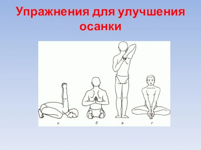 Упражнения для улучшения осанки