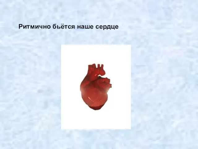 Ритмично бьётся наше сердце