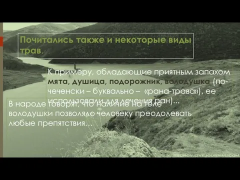 Почитались также и некоторые виды трав. В народе говорят, что наличие