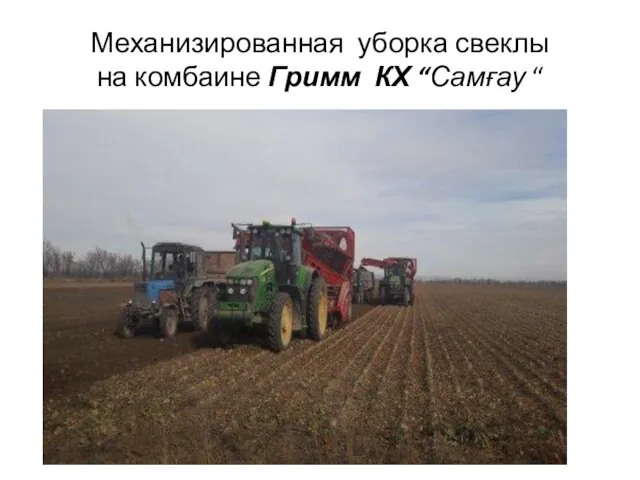 Механизированная уборка свеклы на комбаине Гримм КХ “Самғау “