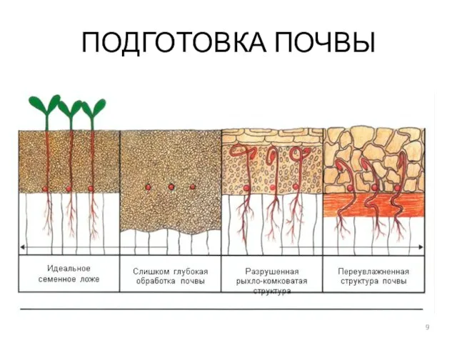 ПОДГОТОВКА ПОЧВЫ