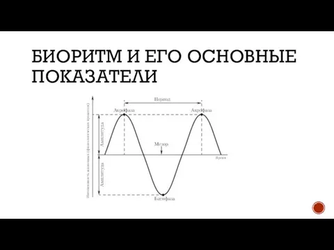 БИОРИТМ И ЕГО ОСНОВНЫЕ ПОКАЗАТЕЛИ