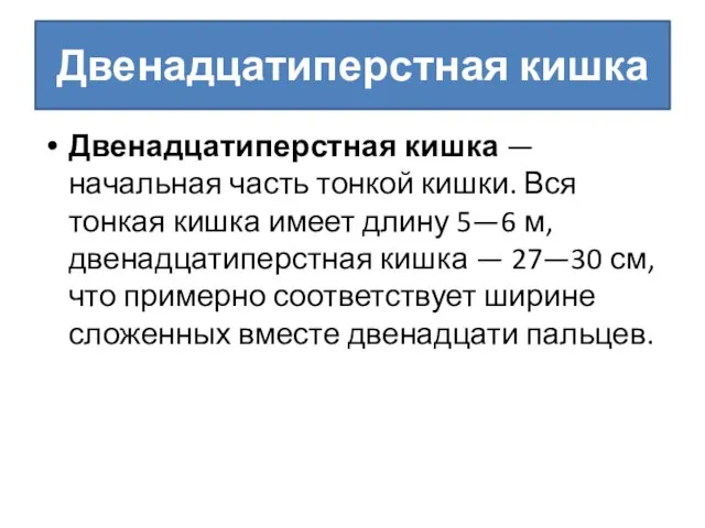 Двенадцатиперстная кишка Двенадцатиперстная кишка — начальная часть тонкой кишки. Вся тонкая