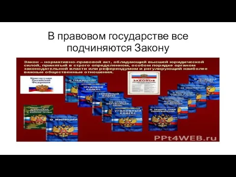 В правовом государстве все подчиняются Закону