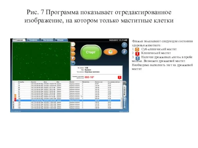 Рис. 7 Программа показывает отредактированное изображение, на котором только маститные клетки