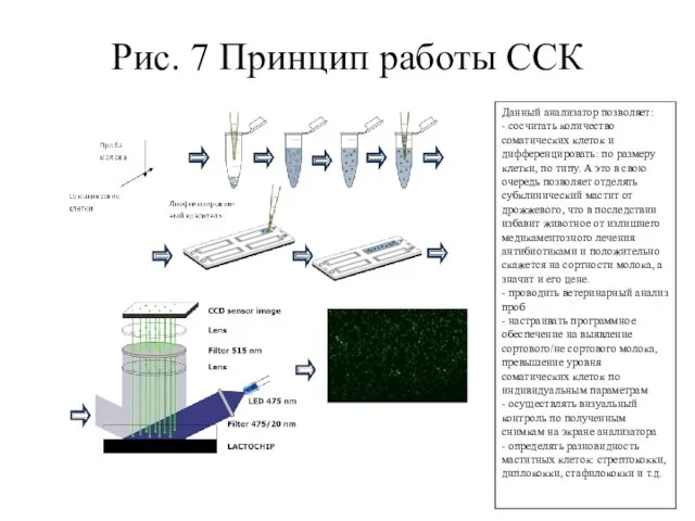 Рис. 7 Принцип работы ССК Данный анализатор позволяет: - сосчитать количество