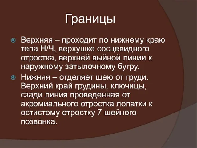 Границы Верхняя – проходит по нижнему краю тела Н/Ч, верхушке сосцевидного