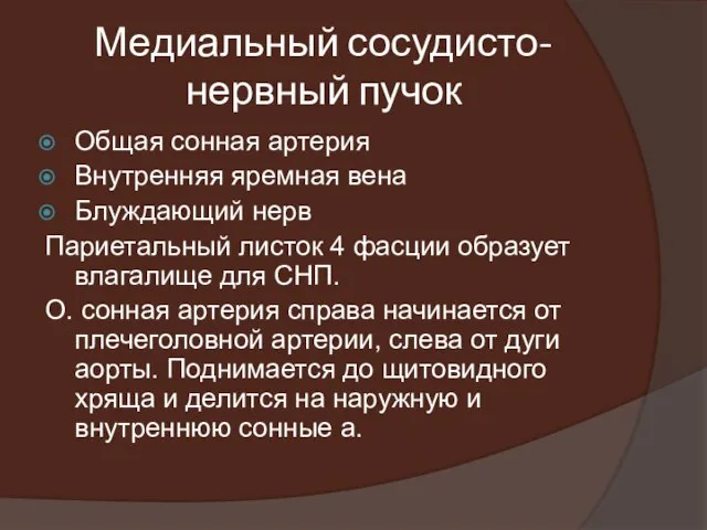 Медиальный сосудисто-нервный пучок Общая сонная артерия Внутренняя яремная вена Блуждающий нерв