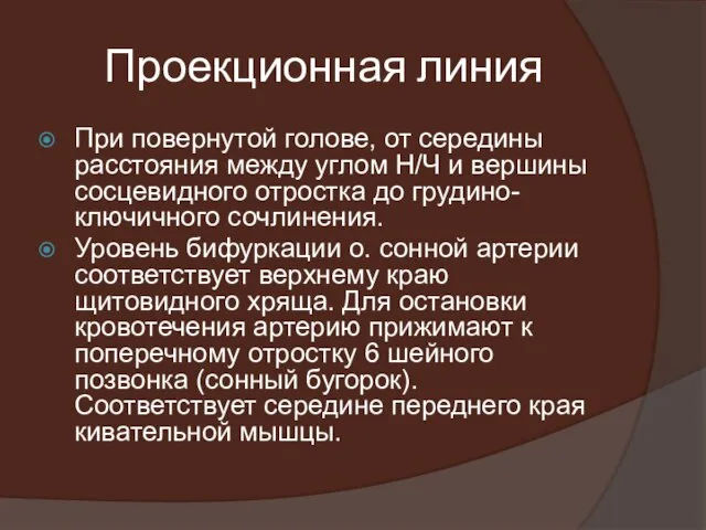 Проекционная линия При повернутой голове, от середины расстояния между углом Н/Ч