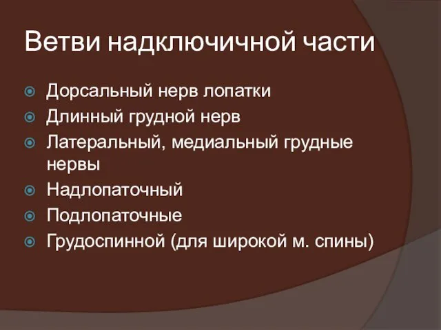 Ветви надключичной части Дорсальный нерв лопатки Длинный грудной нерв Латеральный, медиальный