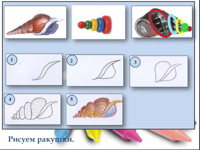 1 2 3 4 5 Рисуем ракушки..