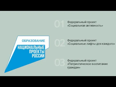 Федеральный проект «Социальная активность» Федеральный проект «Социальные лифты для каждого» Федеральный проект «Патриотическое воспитание граждан»