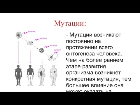 Мутации: - Мутации возникают постоянно на протяжении всего онтогенеза человека. Чем