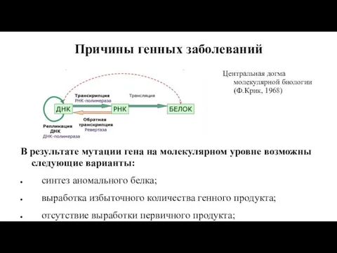 Причины генных заболеваний Центральная догма молекулярной биологии (Ф.Крик, 1968) В результате