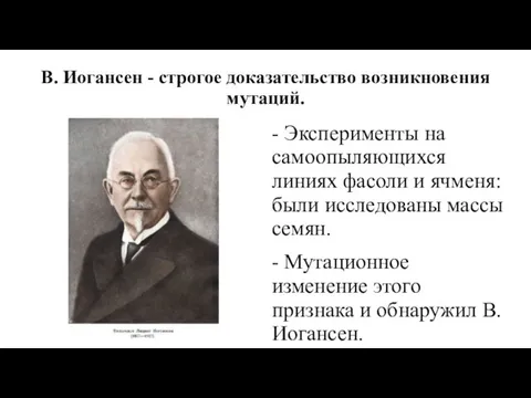 В. Иогансен - строгое доказательство возникновения мутаций. - Эксперименты на самоопыляющихся